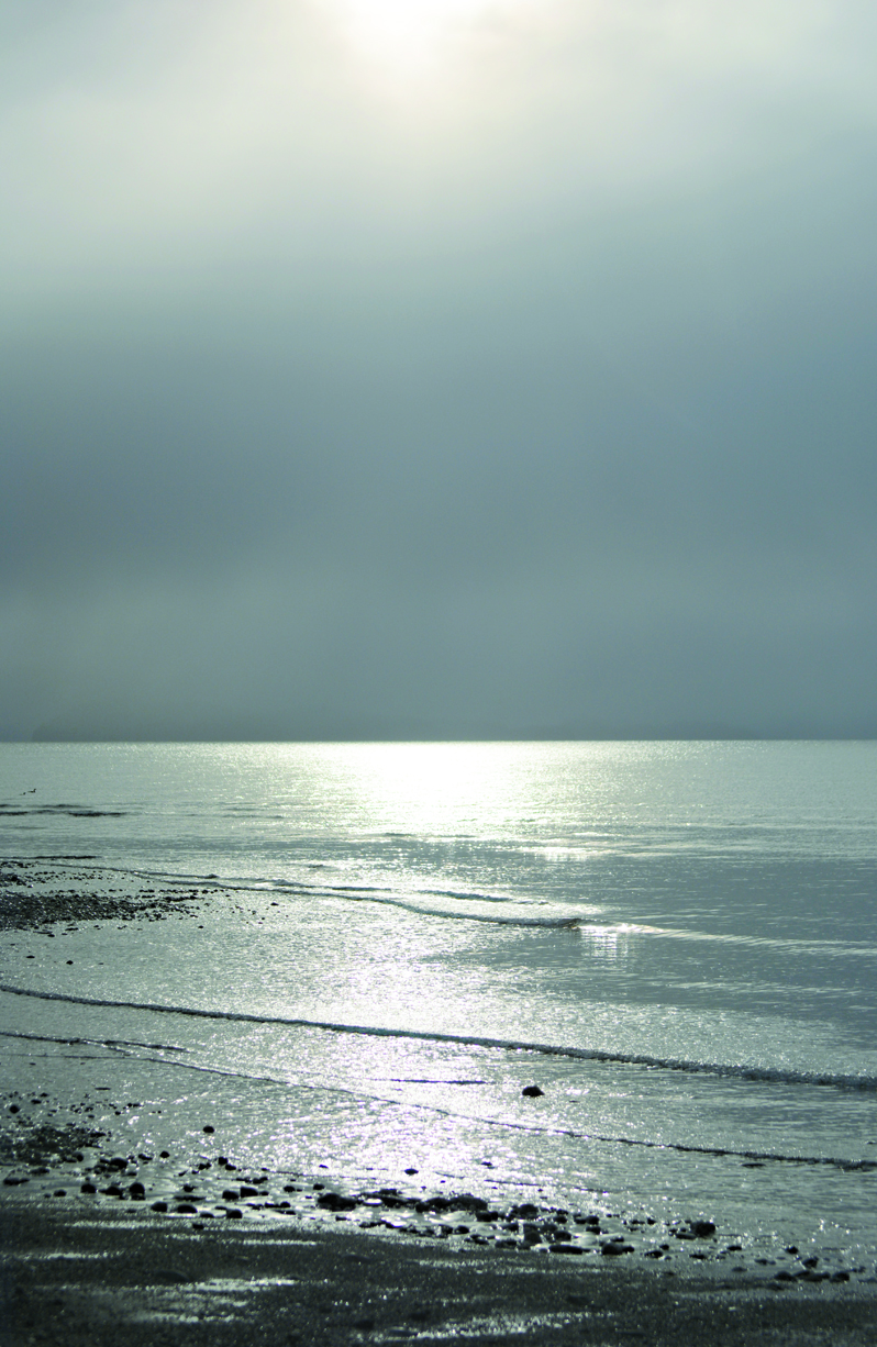 Clouds mask the view across Kachemak Bay, though sunshine  poked through briefly on Tuesday. It is unknown if any marmots saw their shadows on Alaska’s Marmot Day.-Photo by Michael Armstrong, Homer News