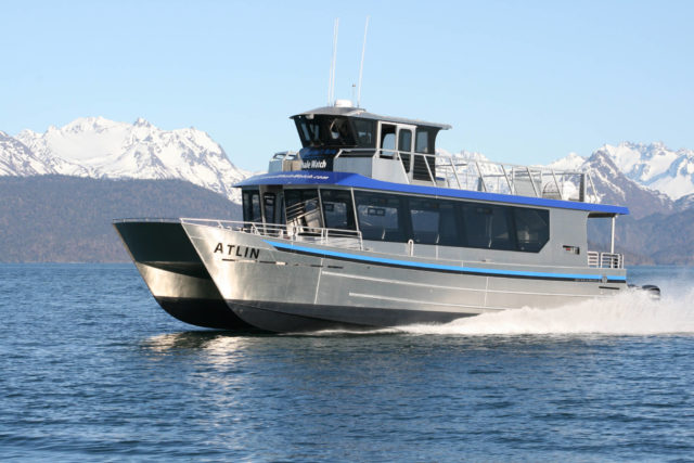 Bay Weld launches new whale watching boat | Homer News