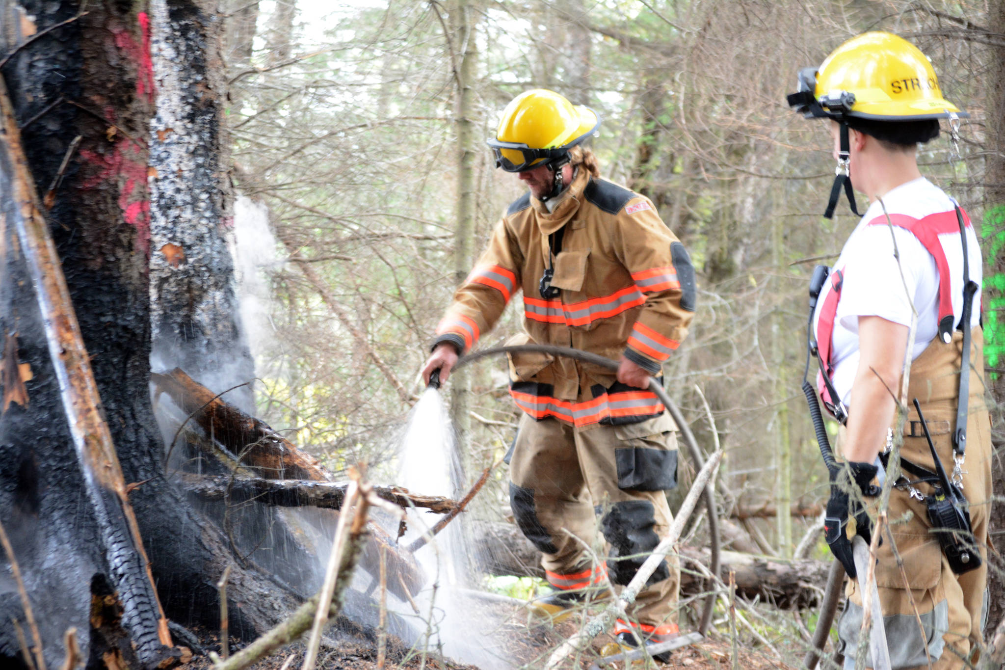 Firefighters knock down small wildfire