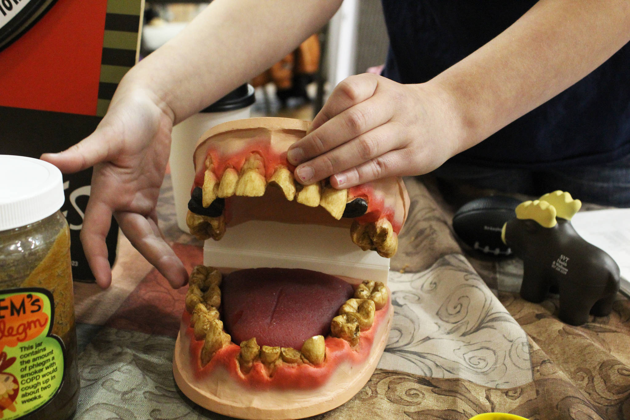 Taylor Rickard, 11, uses a prop to show the results smoking and using drugs can have on the mouth at a booth from the Ninilchik Village Tribe at the Rotary Health Fair on Saturday, Oct. 28, 2017 at Homer High School in Homer, Alaska. (Photo by Megan Pacer/Homer News)