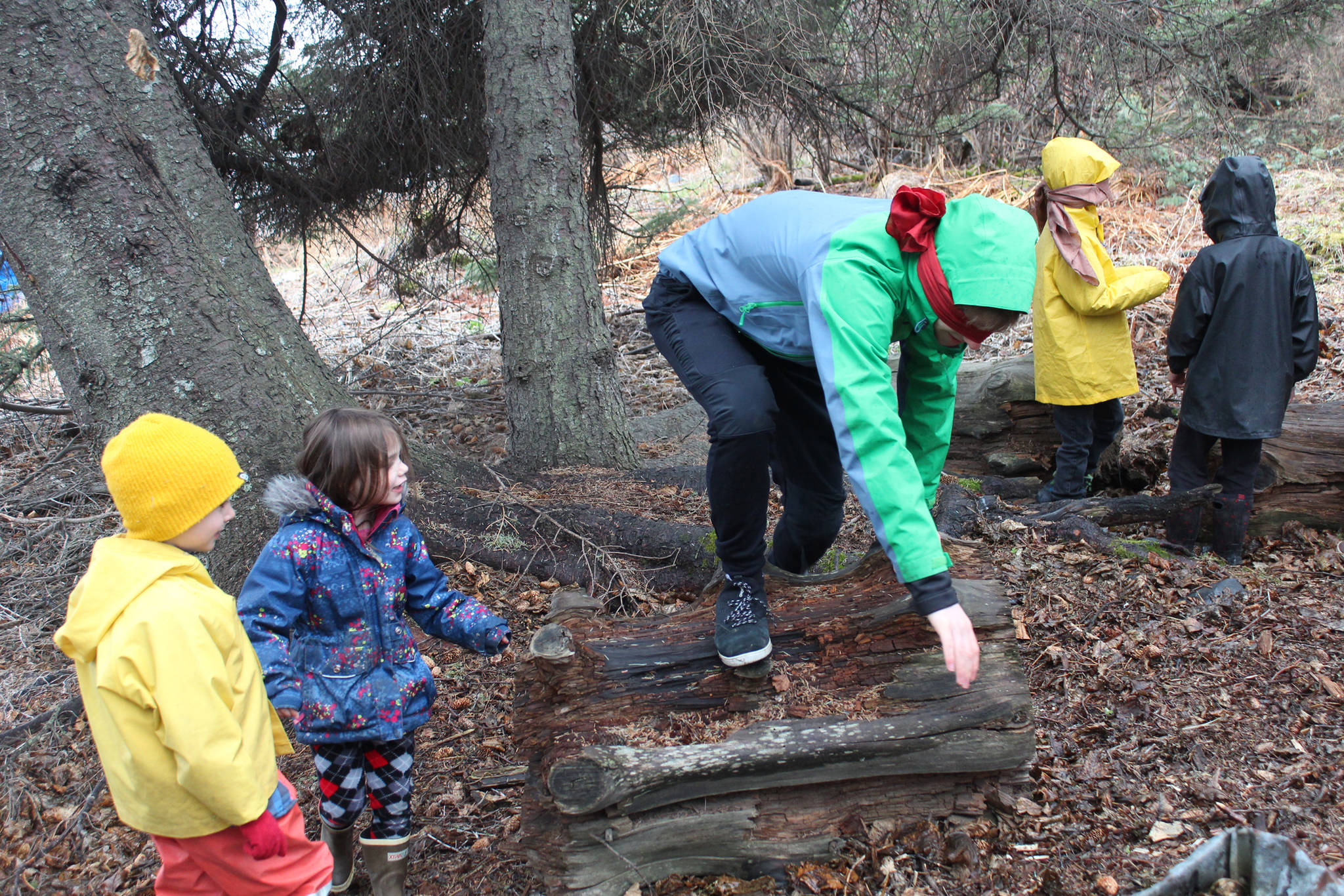 Homer High School senior Oliver Beck clambers over a fallen log at the direction of Riggs Harness, far left, and Violet Pinsky, second from left, during an educational game Tuesday, April 24, 2018 outside Little Fireweed Academy in Homer, Alaska. Beck and several other high schoolers created curriculum and games to teach the youngsters about the outdoors and ecology through a mentoring program. (Photo by Megan Pacer/Homer News)