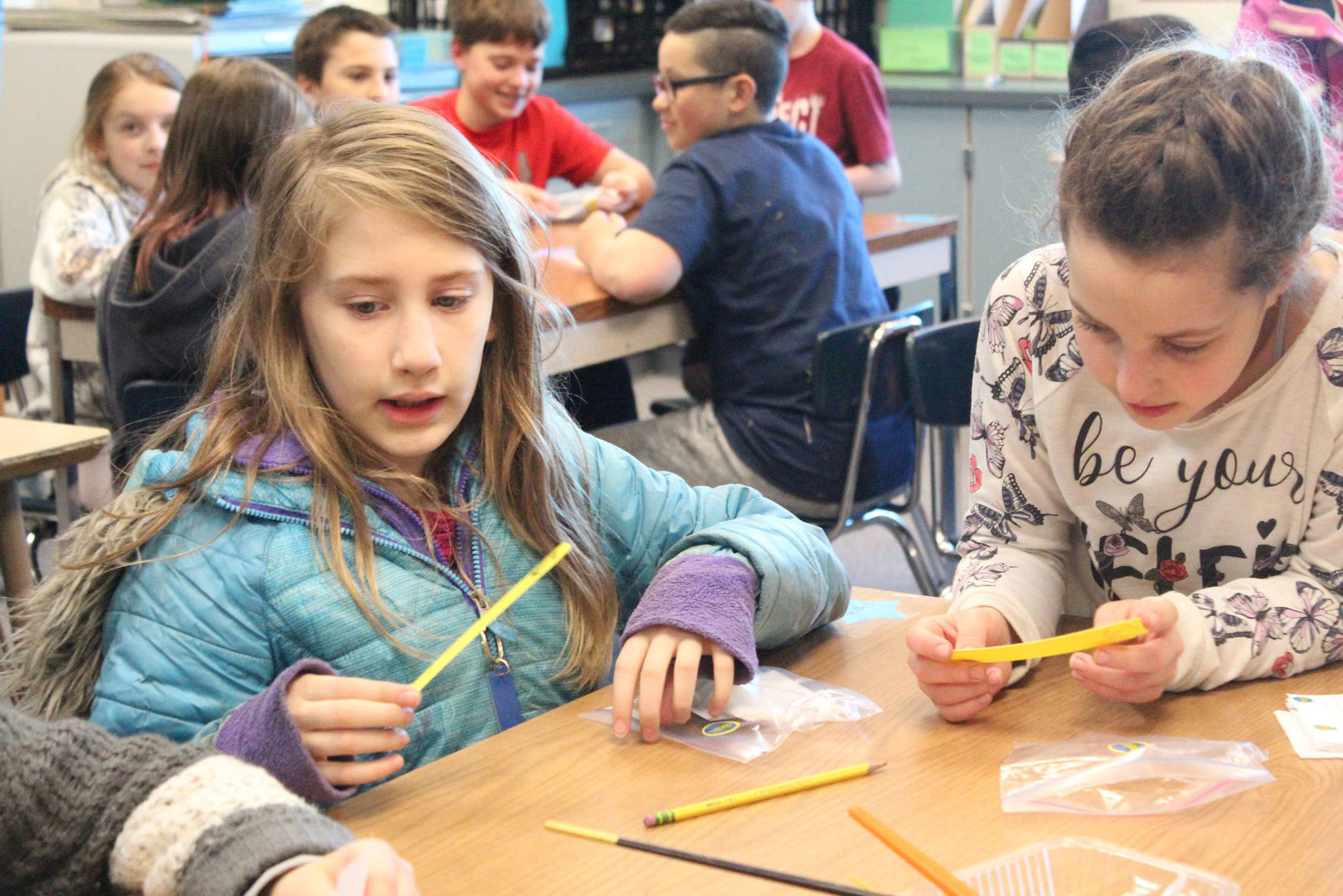 Andrea Corey (left) and Rylee Lemons (right) make seed tapes containing carrot seeds with their classmates Tuesday, May 1, 2018 at Ninilchik School in Ninilchik, Alaska. (Photo by Megan Pacer/Homer News)