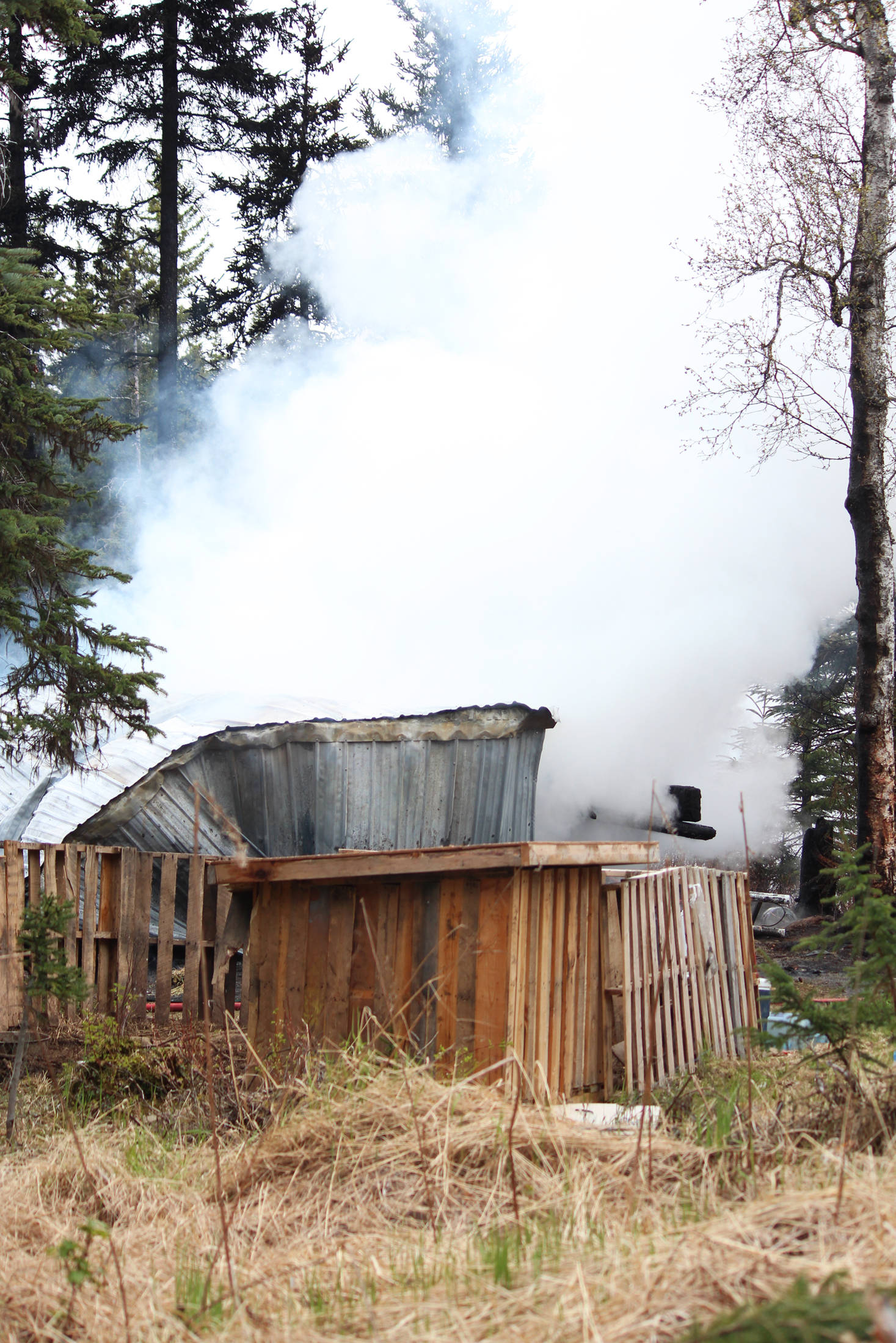 A dry cabin burns in a fire that started in the morning Tuesday, May 29, 2018 off Eagleaerie Avenue outside Homer, Alaska. The cabin was unoccupied at the time, and the two pigs belonging to the renter were saved. The cabin was declared a total loss. (Photo by Megan Pacer/Homer News)