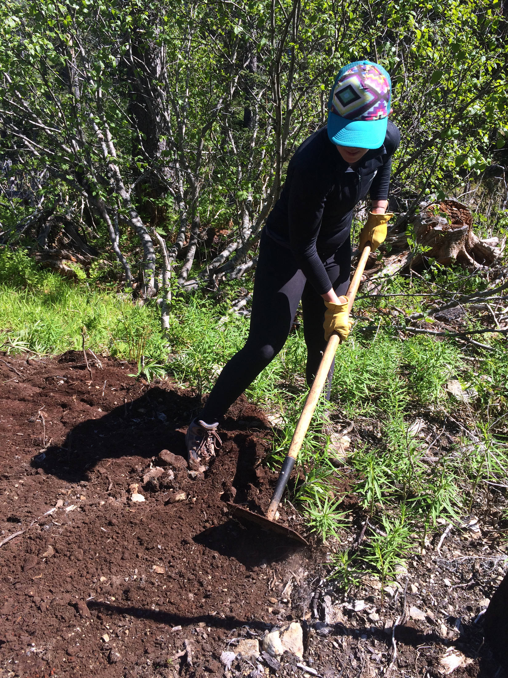 A volunteer works on the Saddle Trail during Trails Day on Saturday, June 2, 2018 across Kachemak Bay from Homer, Alaska. (Photo courtesy Christina Whiting)