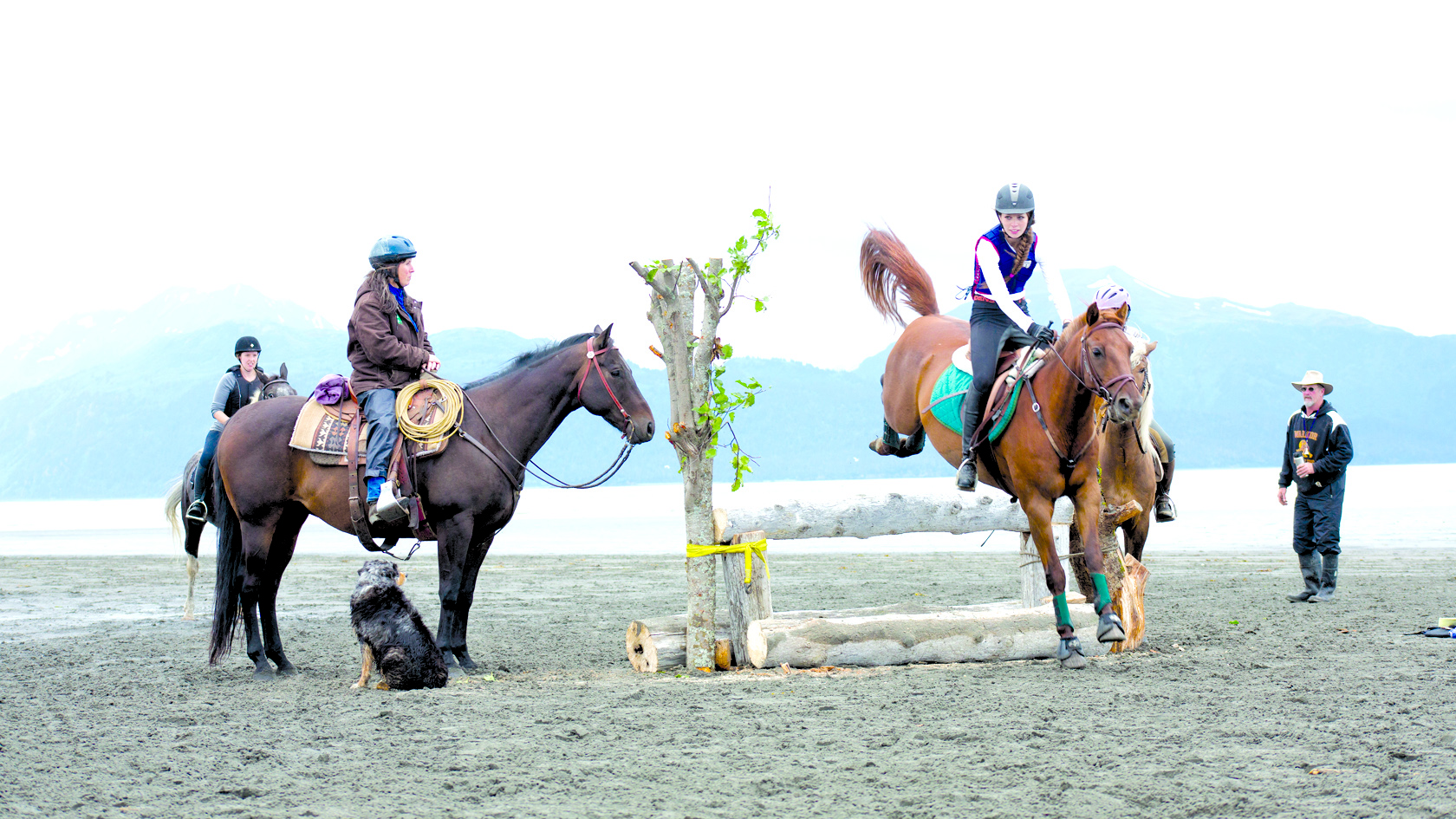 Morgan Kelly, 18, of Homer, jumps with a Morgan horse named Island Rumba. To her right is Briggs and to her left is Shirley Cox from Happy Valley on her horse Boomer. Behind Cox is Leslie Whip of Homer, riding Rio.-Photo by Aaron Carpenter