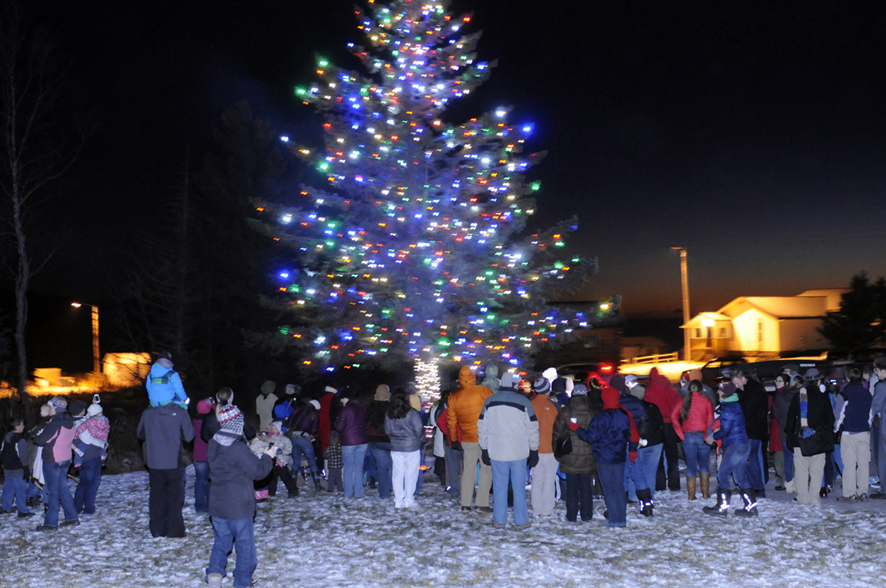 In 2012 the community Christmas tree was lit for the first time at the Homer Chamber of Commerce and Visitor Center.-Photo by Jim Lavrakas