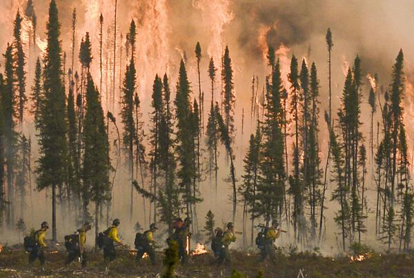 A line of firefighters walks near a wall of flame Saturday May 24, 2014 in the Funny River neighborhood of Soldotna, Alaska.-Photo by Rashah McChesney/Morris News Service-Peninsula Clarion