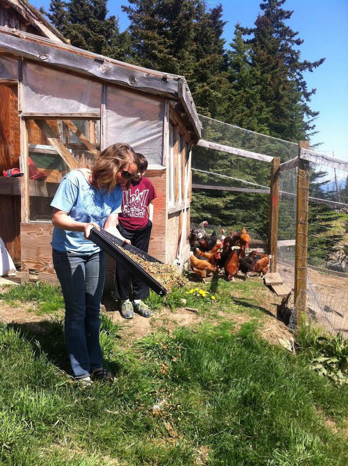 Eve Kilcher, founder of Steller Gardens, and Bergen Knutson feed the farm’s chicken’s during a class from Wild, Sustainable Summer,-Photo Provided