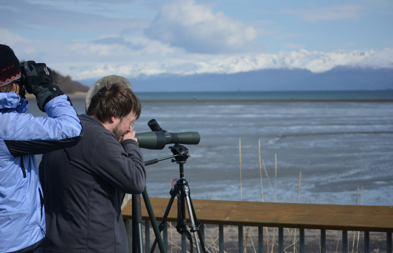 Cindy Sisson, left, and Jason Sodergren look for birds at Mud Bay on the Spit during a shorebird monitoring session last Friday. A group of birders identifies species and counts numbers every five days in late April and May during the shorebird migration.-Michael Armstrong