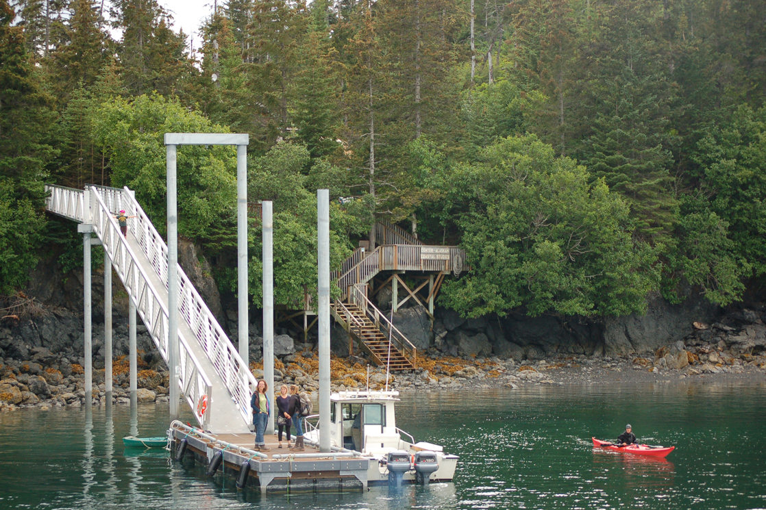 Kim McNett kayaks around the new dock at the Center for Alaskan Coastal Studies Peterson Bay Field Station.