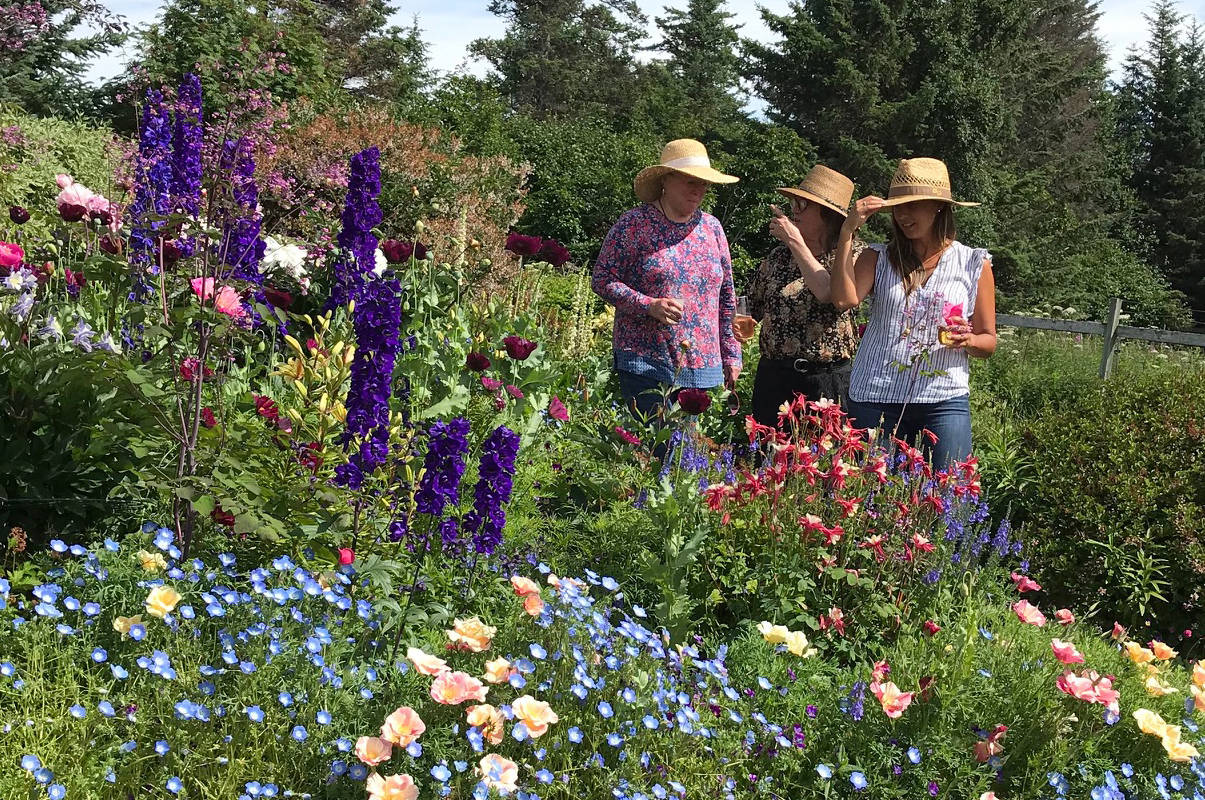 Judy Flora, Marcee Gray and Andrea Fitzpatrick Vallee enjoying a sunny Sunday afternoon on July 29, 2018. Note the Black Knight delphinium making a decent showing in its second year. (Photo by Rosemary Fitzpatrick)