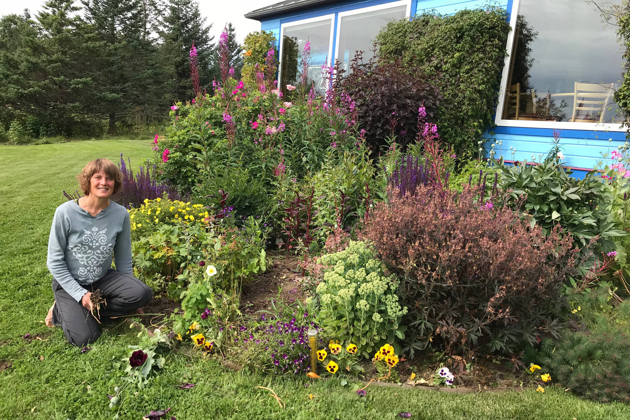 Jane Wiebe appreciating the part of her freshened up garden that she views from the kitchen window on Aug. 10, 2018, in Homer, Alaska. (Photo by Rosemary Fitzpatrick)