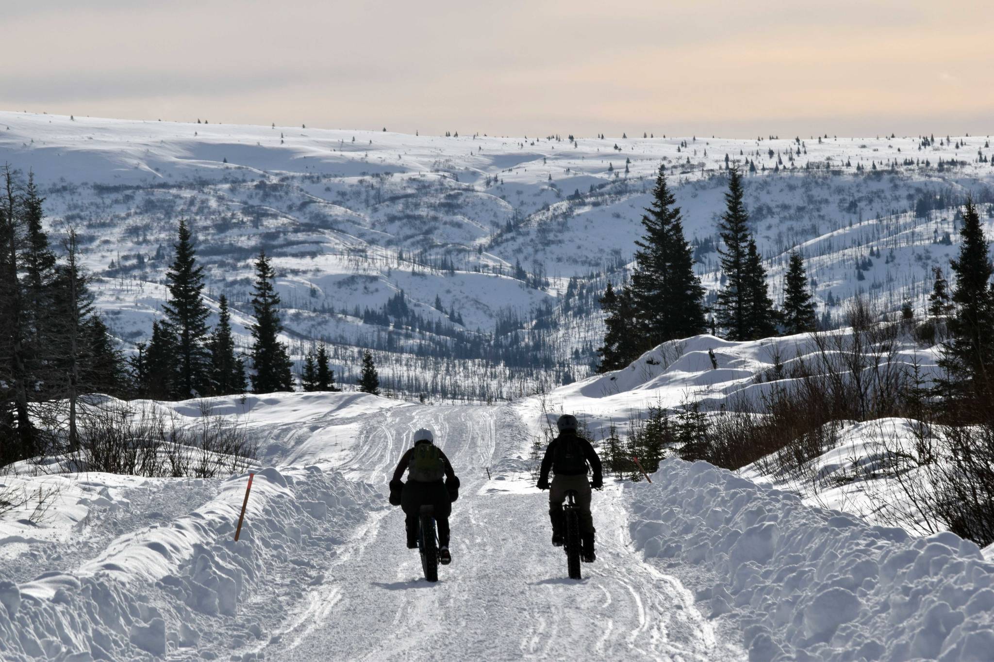 Fat Freddie’s 3: Caribou Hills never fail to tire, inspire