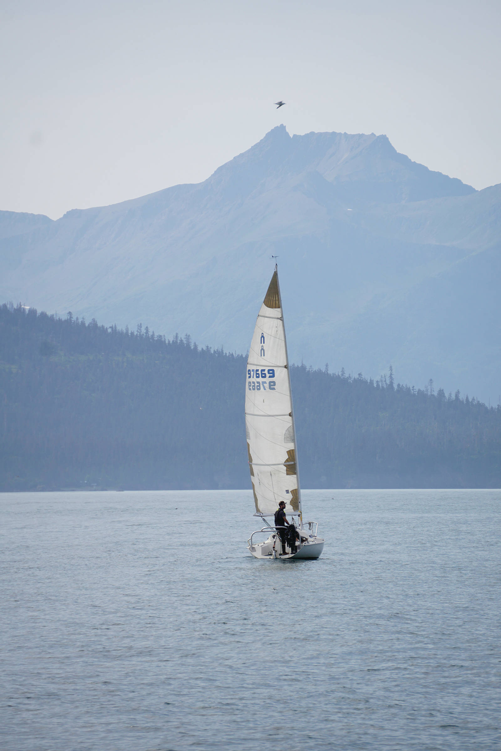 A sailor guides his boat across Kachemak Bay on Saturday, Aug. 10, 2019, near Homer, Alaska. (Photo by Michael Armstrong/Homer News)