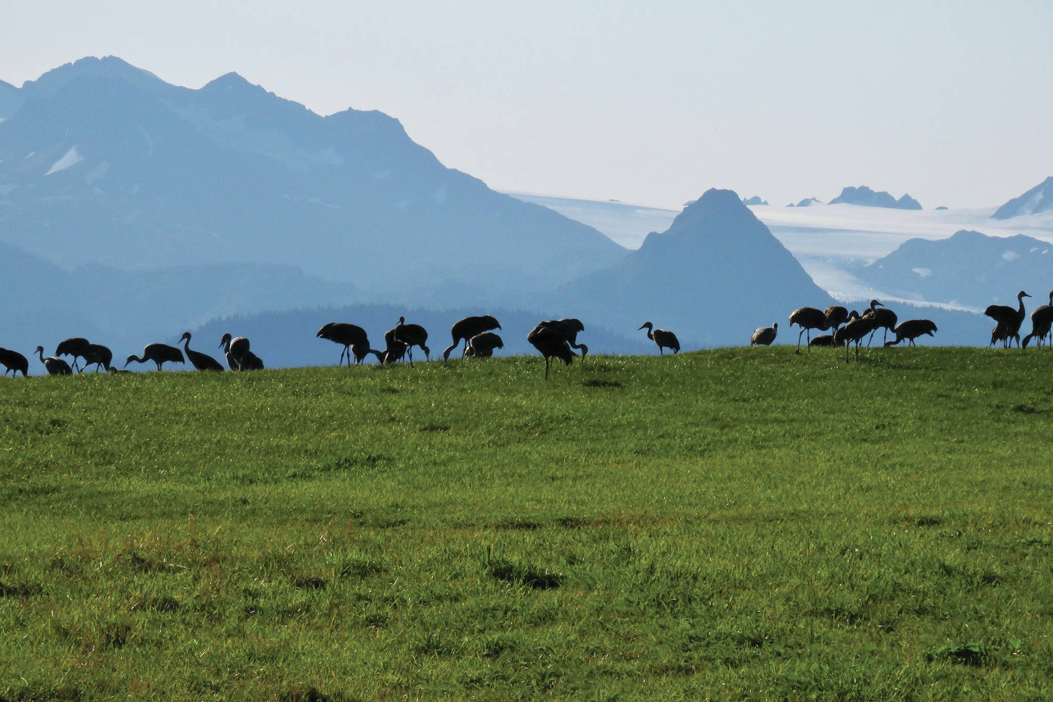 Center for Alaskan Coastal Studies becomes steward of Inspiration Ridge Preserve