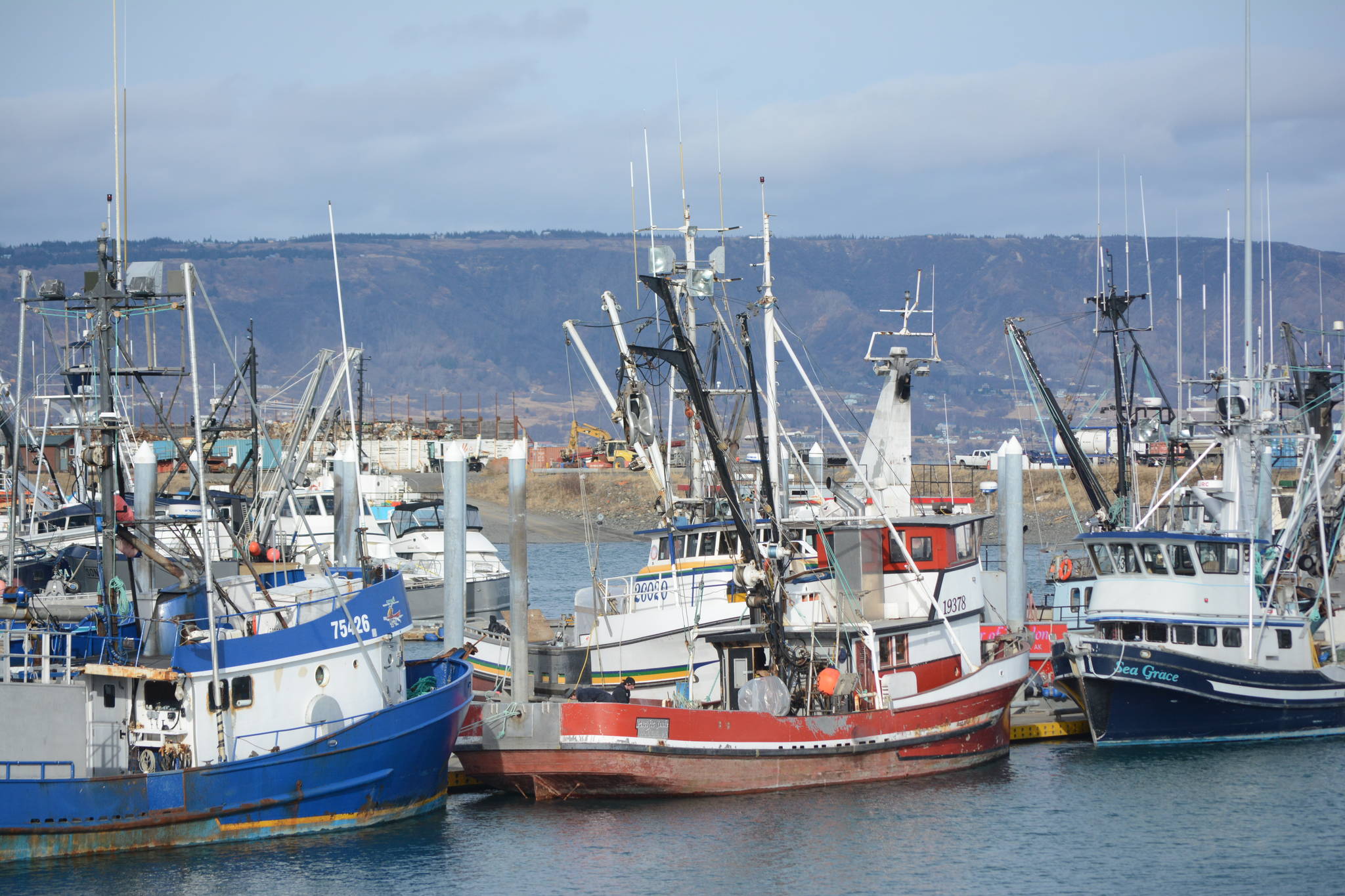 Seawatch: Seafood industry feels impact from coronavirus