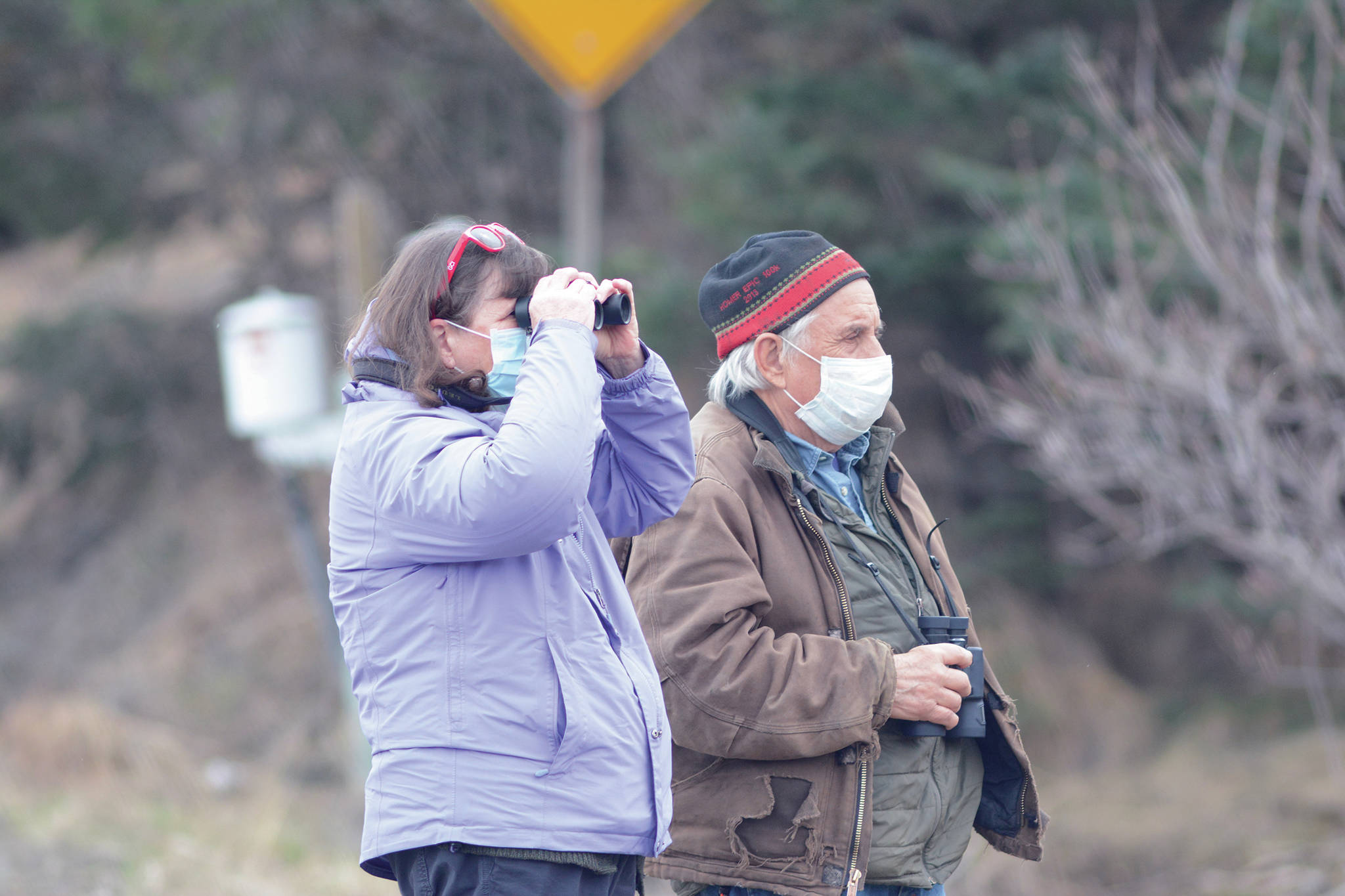 Molly and Dave Brann practice pandemic social responsibility while looking at a flock of geese on Friday, April 24, 2020, at Beluga Slough in Homer, Alaska. A group of greater white-fronted, cackling Canada, and snow geese were feeding at the slough. (Photo by Michael Armstrong/Homer News)