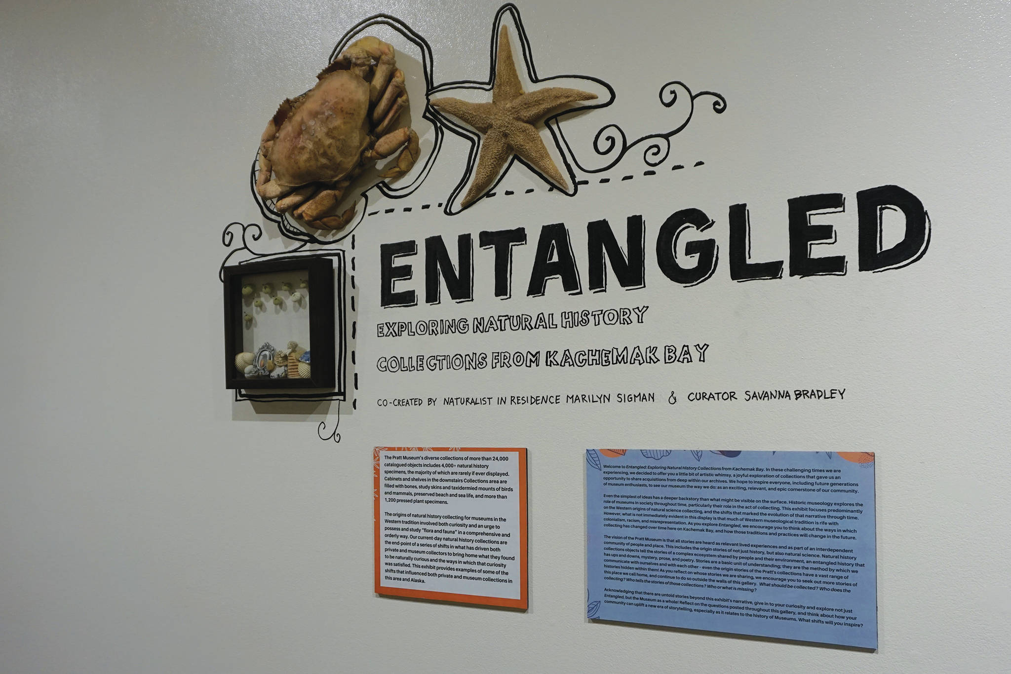 Pratt Museum unveils new ‘Entangled’ exhibit