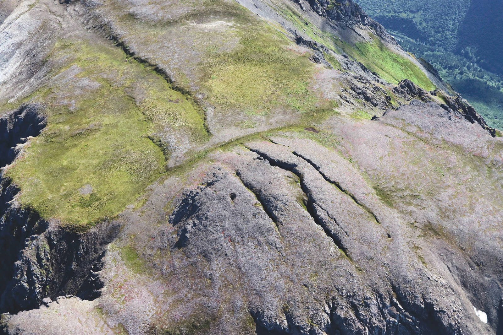 Photo by Bretwood Higman                                 Deep fissures cross the summit of Alpine Ridge above Grewingk Lake.