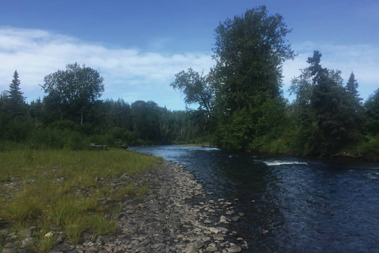 This undated photo shows a section of Deep Creek near Ninilchik, Alalska recently acquired by the Alaska Department of Fish and Game with the assistance of the Kachemak Heritage Land Trust to protect hunting and fishing in the area. (Photo courtesy of Kachemak Heritage Land Trust)