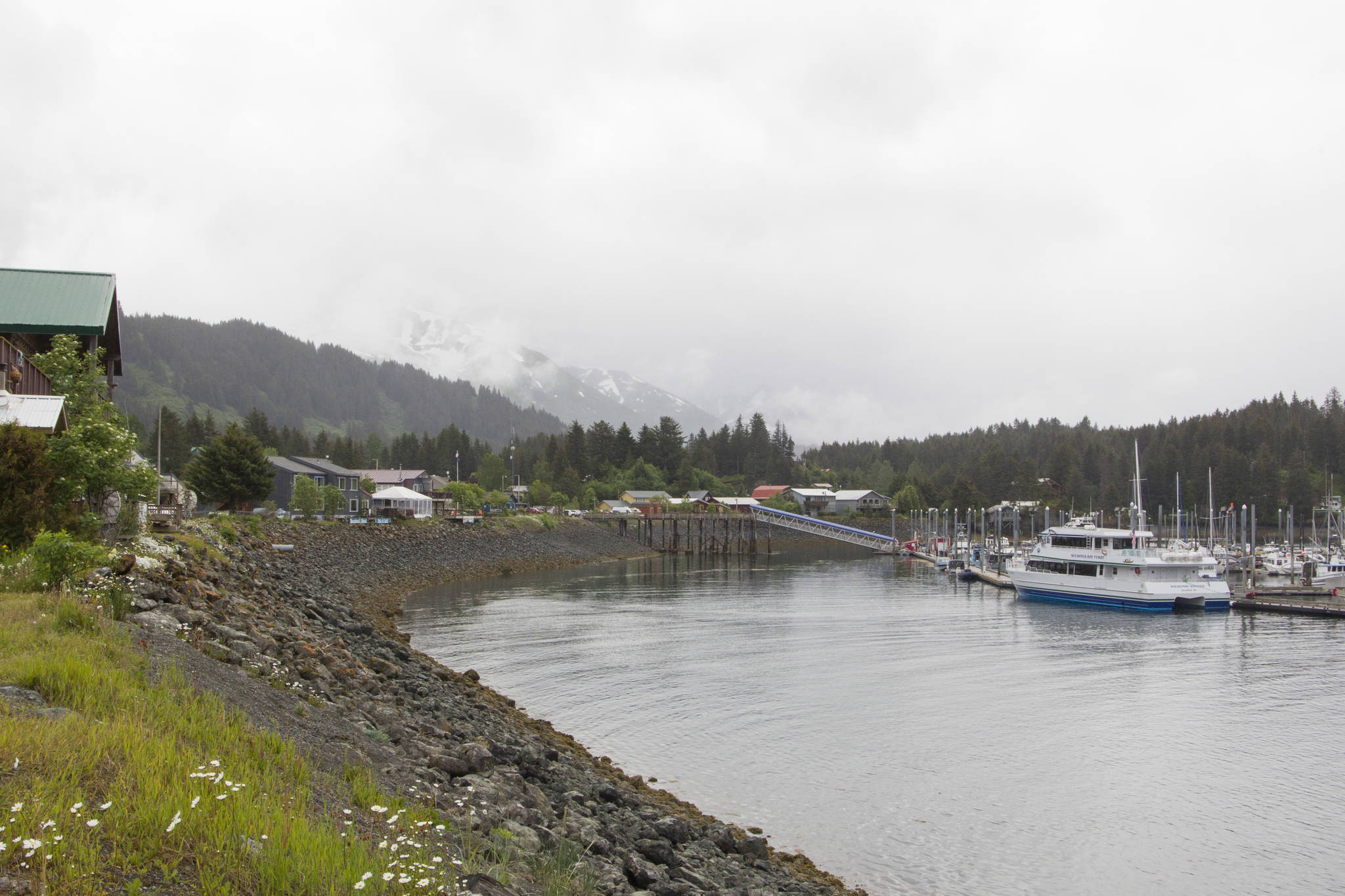 Seldovia as seen on Thursday, June 24, 2021. The steady rain didn’t stop boats filled with tourists from arriving in town. (Photo by Sarah Knapp/Homer News)