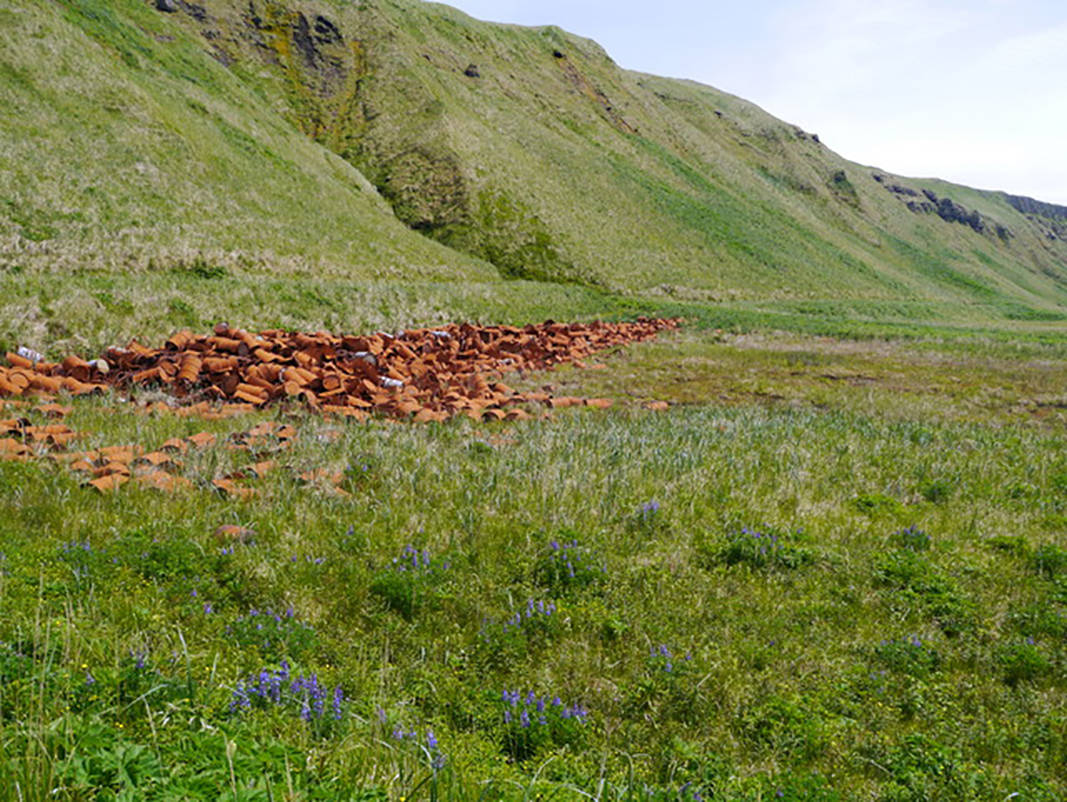 Thousands of 55-gallon metal drums that once held gasoline were left at Great Sitkin Island. (USFWS)