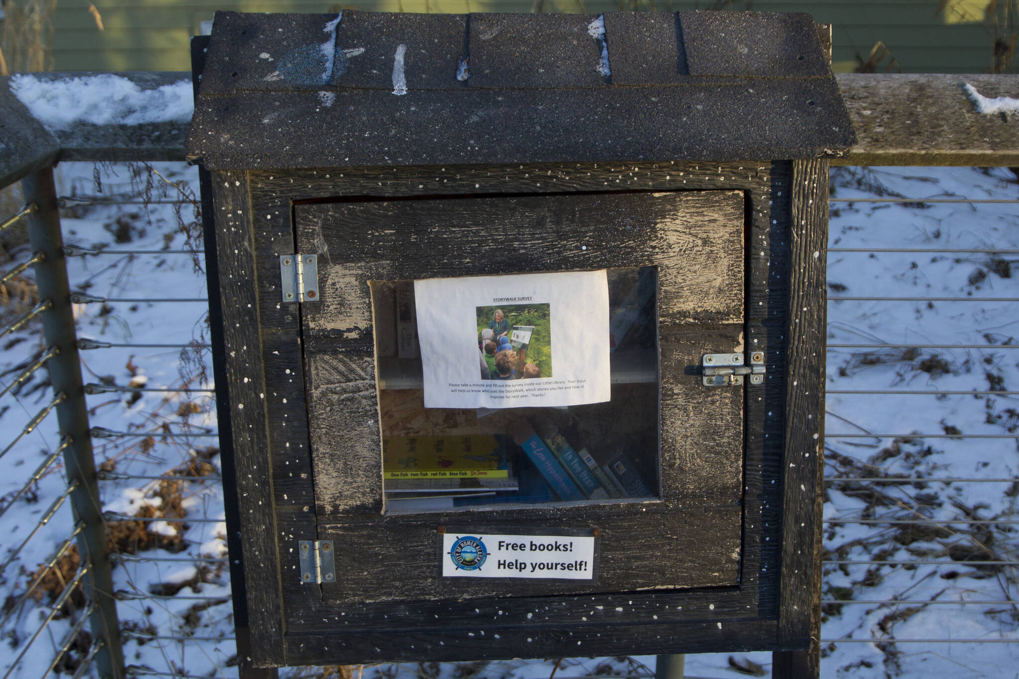 A little free library is located outside of the Homer Public Library. (Photo by Sarah Knapp/Homer News)