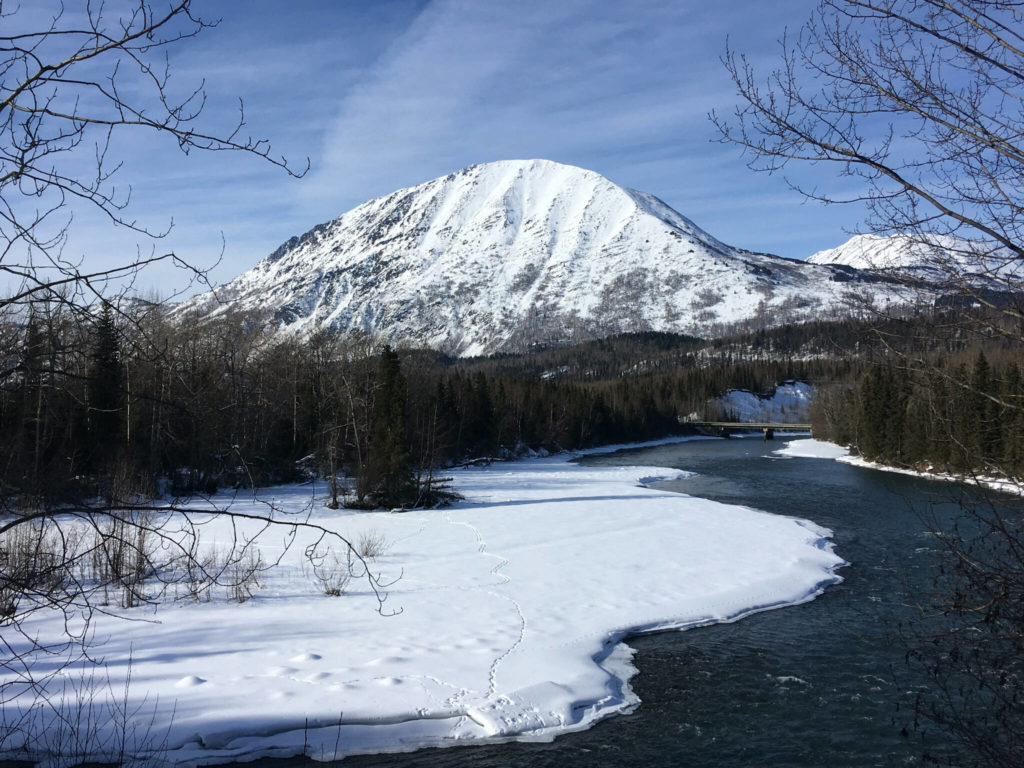 Russian River Road And Campground To Close For 1 Year Homer News   27366029 Web1 KPC 112421 Russian River Campground 1 1024x768 