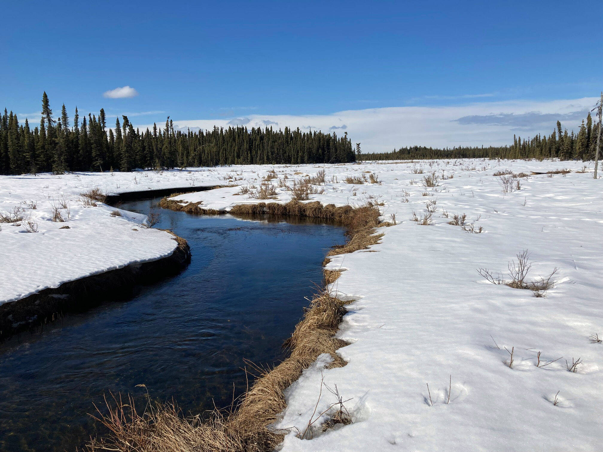 Photo by Jeff Helminiak/Peninsula Clarion
The west fork of the Moose River in the Kenai National Wildlife Refuge, March 23, 2022.