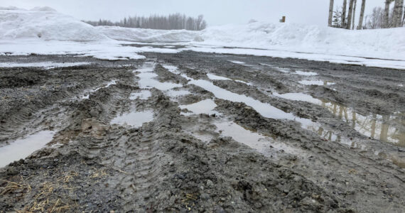 Photo courtesy Sarah McMinn
Snow falls on tire tracks and puddles of water in the mud outside the home of Jake Dye in Soldotna, Alaska, on Thursday, April 13, 2023.