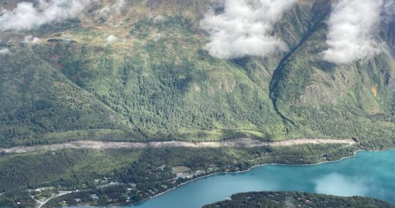 Photo by Jeff Helminiak/Peninsula Clarion
An area cleared to make way for the Cooper Landing Bypass project can be seen above the intersection of the Kenai River and Kenai Lake in Cooper Landing, Alaska, on Sept. 6, 2021.