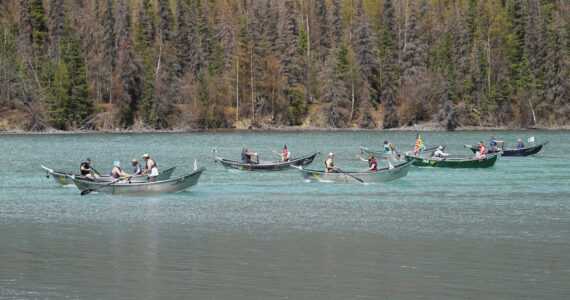 Contestants race down the Kenai River during the 16th Annual Cooper Landing Drift Boat Regata near the Eagle Landing Resort in Cooper Landing, Alaska, on Saturday, May 20, 2023. (Jake Dye/Peninsula Clarion)