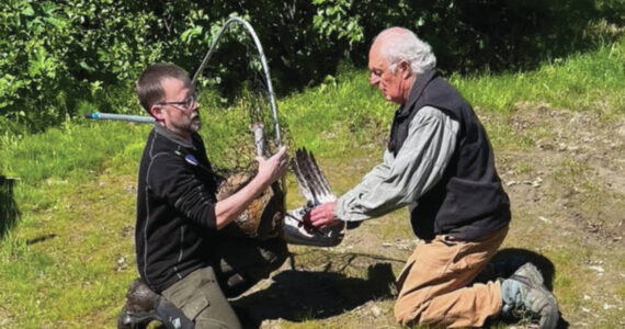 Photo provided by Nina Faust
On July 9, Jason Sodergren and retired veterinarian Ralph Broshes capture and attend to the crane that was shot with an arrow.