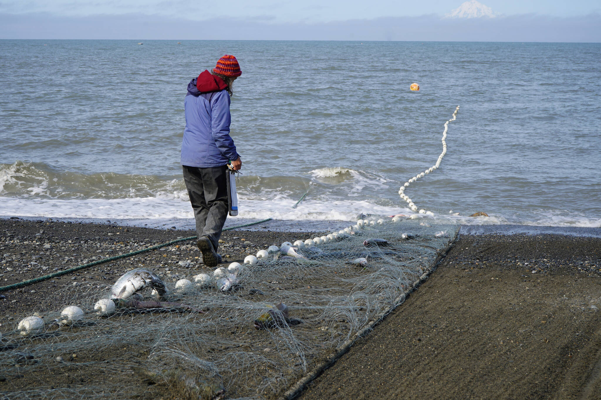 Fiskenät för spö- Rutan - Fishing net - Summer Fishing - Fishing