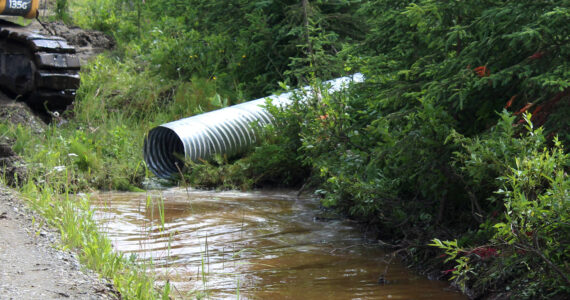 Water pools near at the intersection of Patrick Drive and Bjerke Street, where contractors for the Kenai Peninsula Borough install a culvert to mitigate flooding off of Kalifornsky Beach Road on Friday, July 21, 2023, near Kenai, Alaska. (Ashlyn O’Hara/Peninsula Clarion)