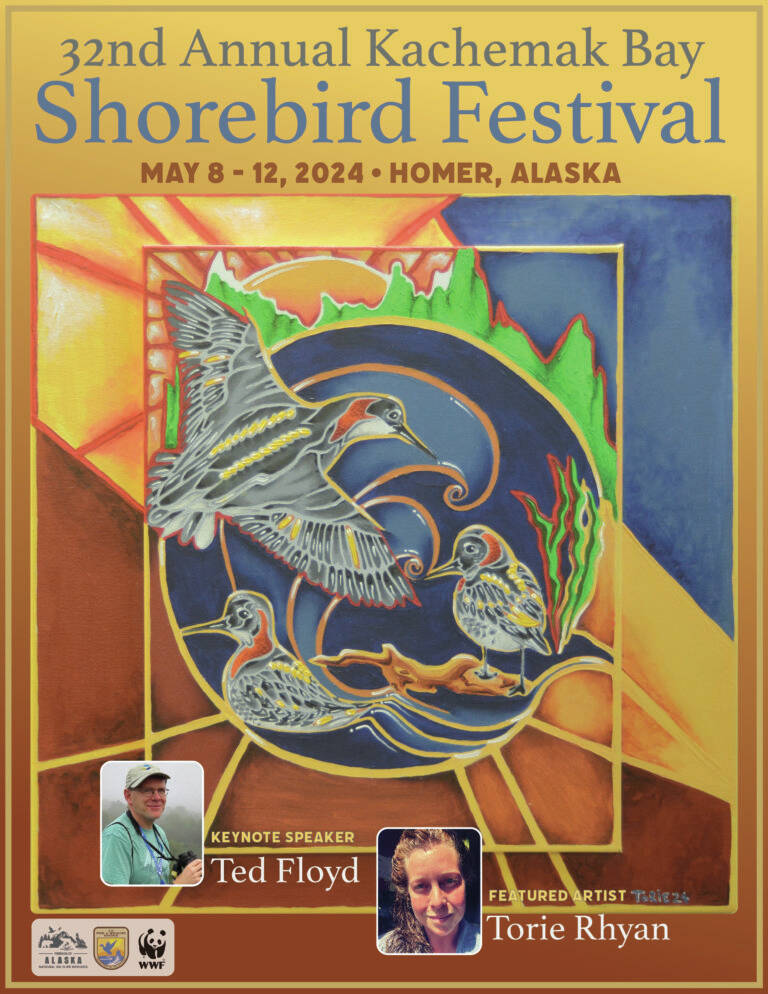 The 32nd annual Kachemak Bay Shorebird Festival will take place oon May 8-12, 2024 in Homer, Alaska. Photo courtesy of the Kachemak Bay Shorebird Festival