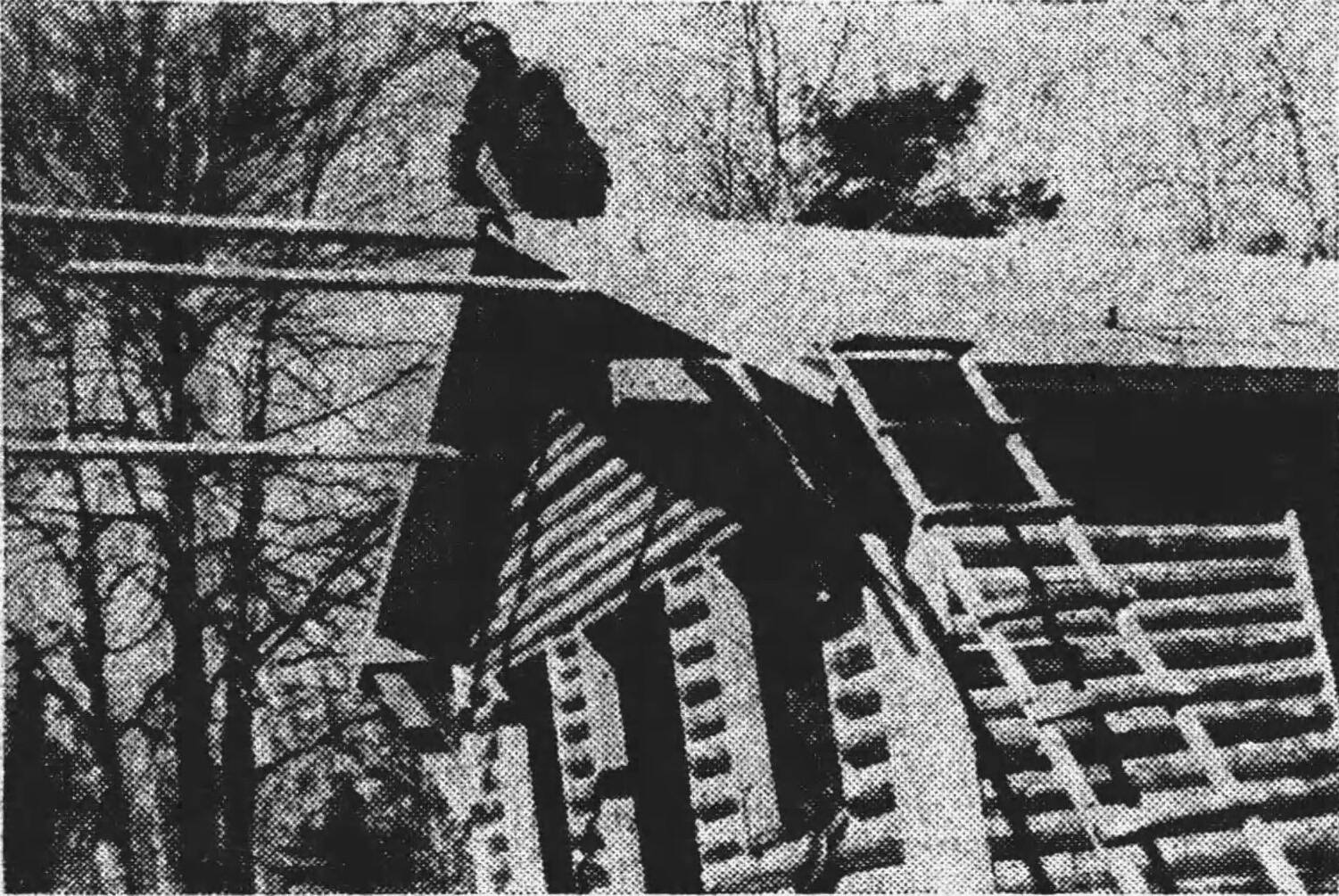 In this photo from the March 10, 1949, edition of the Wayne (Nebraska) Herald, Soldotna homesteader Marvin Smith is seen working on the roof of his cabin along the Kenai River.