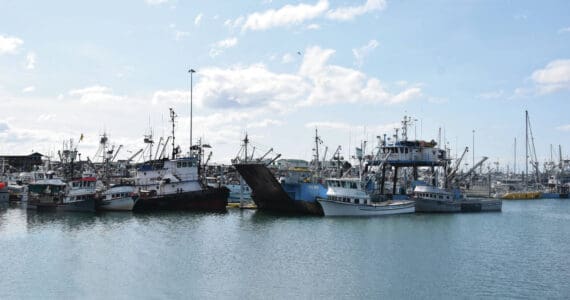 Homer Harbor on Saturday, May 20, 2023. (Emilie Springer/ Homer News)