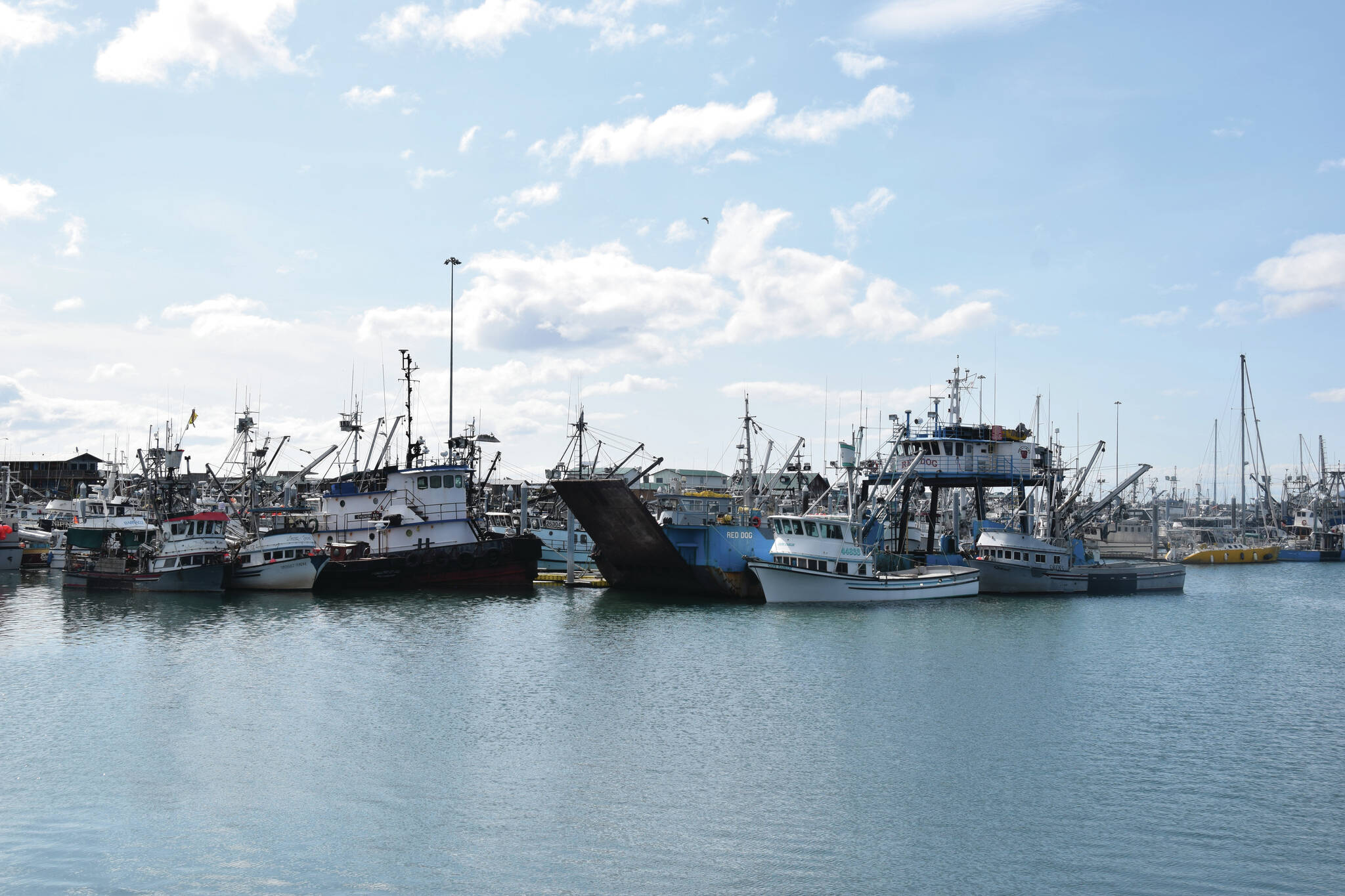 Homer Harbor on Saturday, May 20, 2023. (Emilie Springer/ Homer News)