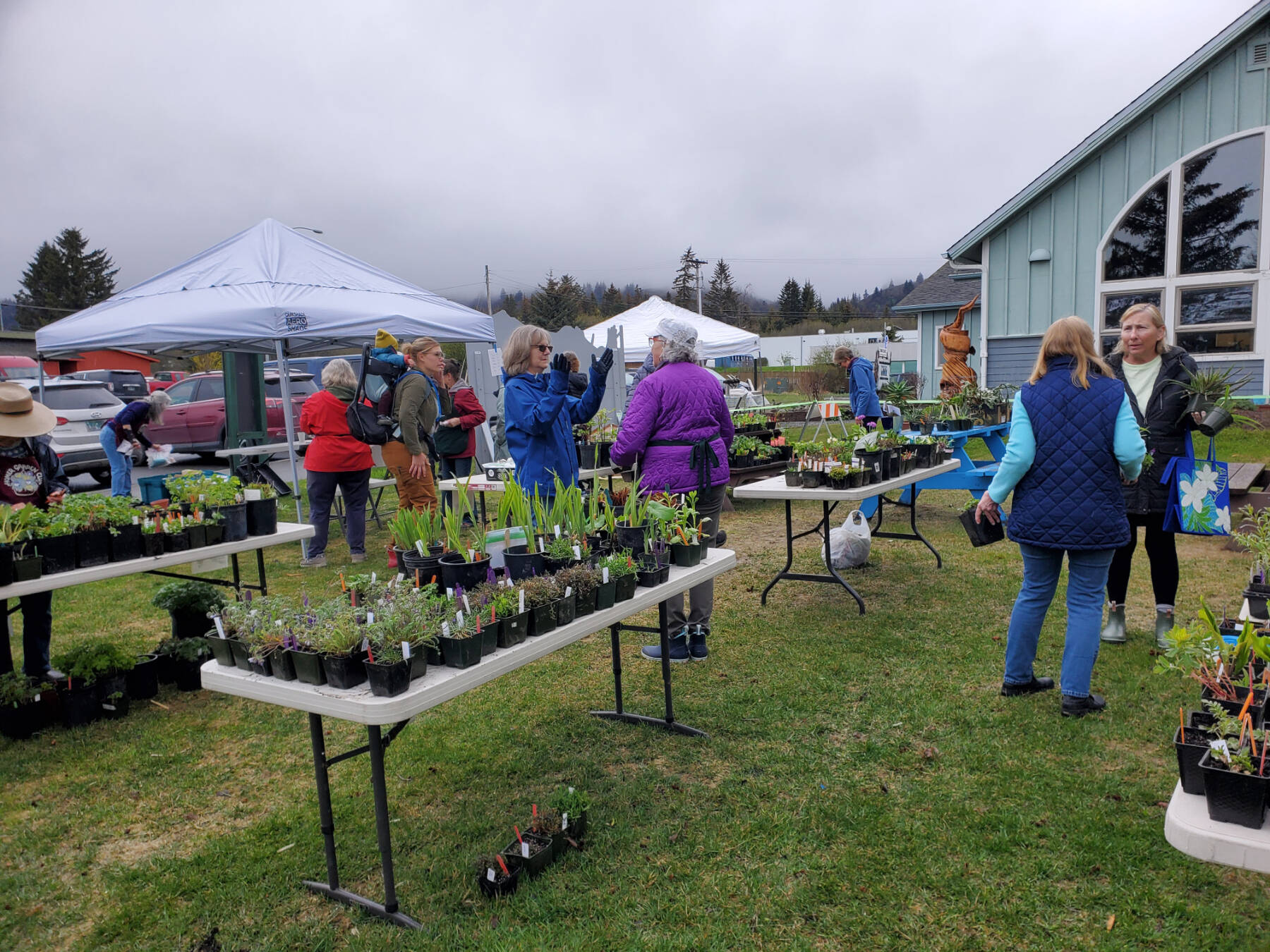 Homer Garden Club members set up their annual plant sale on Saturday, May 25, 2024 at the Homer Chamber of Commerce in Homer, Alaska. (Delcenia Cosman/Homer News)