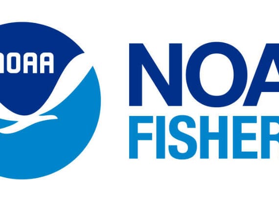 Logo for NOAA Fisheries, also known as the National Marine Fisheries Service. Photo courtesy of NOAA Fisheries