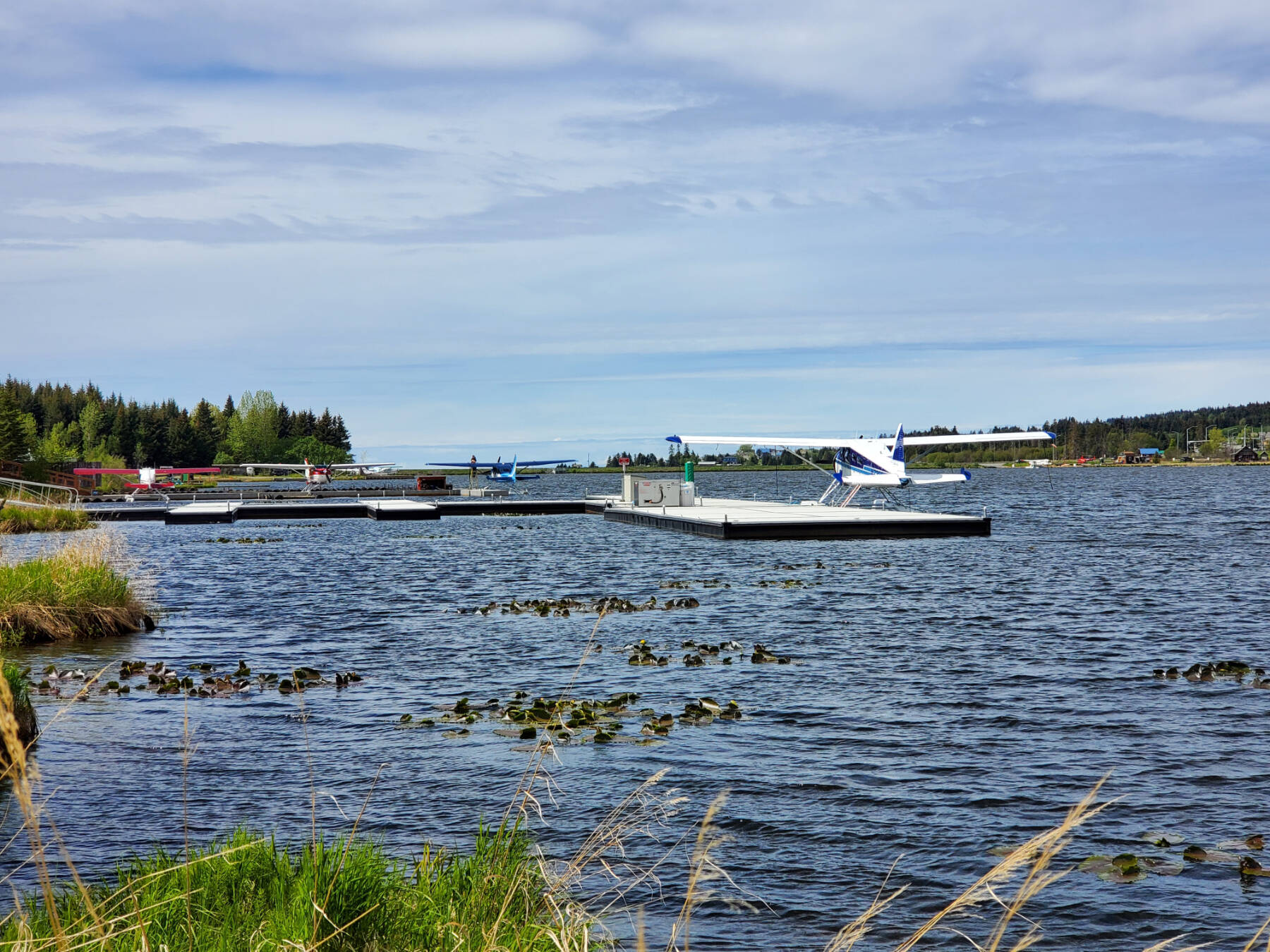 Float planes are docked on Beluga Lake on Tuesday, June 4, 2024 in Homer, Alaska. (Delcenia Cosman/Homer News)