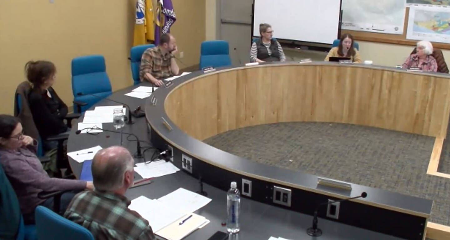 The Economic Development Advisory Commission discusses the prospects of a citywide business licensing program in Homer, Alaska at their last regular meeting on Tuesday, June 11, 2024, in the Cowles Council Chambers at Homer City Hall. Screenshot.