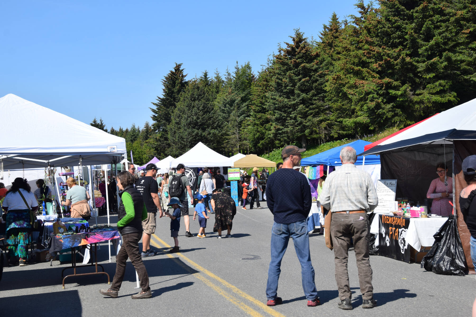 Community members browse vendors’ wares at the 2nd annual Summer Solstice Fair on Saturday, June 22, 2024, in Homer, Alaska. (Delcenia Cosman/Homer News)