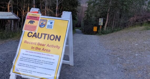 A sign warning of a June 28, 2021, bear attack is placed at the head of the Kenai River Trail on Skilak Loop Road in the Kenai National Wildlife Refuge on June 30, 2021. (Photo by Erin Thompson/Peninsula Clarion)