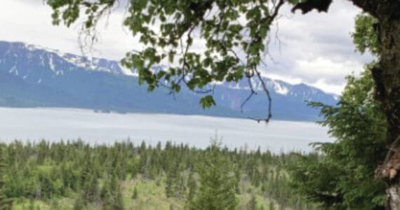 Photo provided by Cameale Johnson
Image from within the Cottonwood Creek management area looking out toward Kachemak Bay.