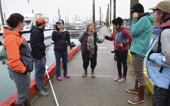 Emilie Springer/ Homer News
Participants from the Kachemak Bay Research Reserve’s eDNA workshop collect water samples from Homer Harbor on Friday, July 26.