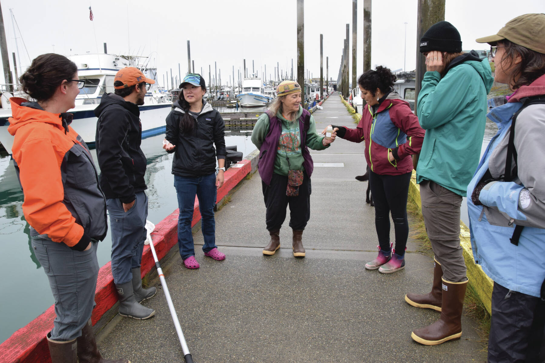 Emilie Springer/ Homer News
Participants from the Kachemak Bay Research Reserve’s eDNA workshop collect water samples from Homer Harbor on Friday, July 26.