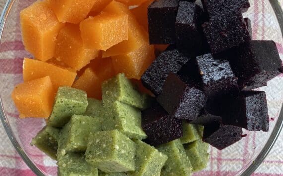 These blueberry and honey, carrot and nectarine, and spinach and green grape gummies are made with minimal sugar and no artificial dyes or preservatives. (Photo by Tressa Dale/Peninsula Clarion)