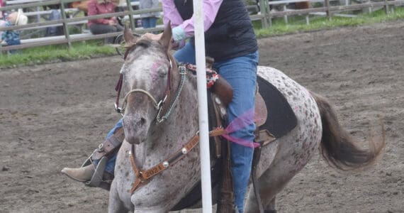 Photo by Jeff Helminiak/Peninsula Clarion
Hally Hanson competes in Pole Bending at the third Soldotna Equestrian Association rodeo of the season Sunday, July 28, 2024, at the Soldotna Rodeo Grounds in Soldotna, Alaska.